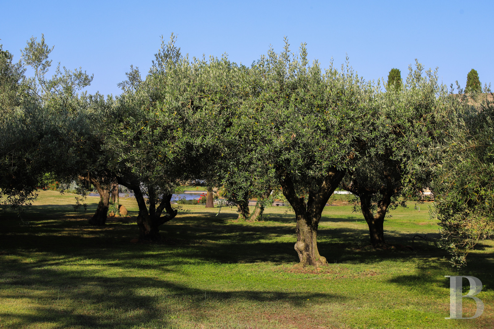 A villa designed and built by a Modernist architect in the heart of an arboreal estate close to Nîmes - photo  n°6